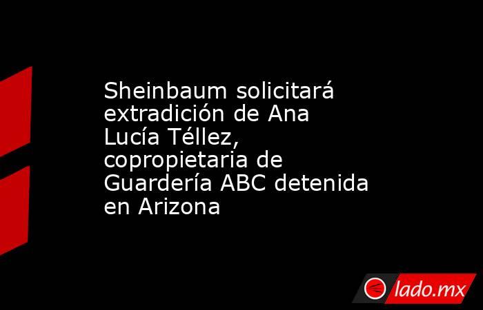 Sheinbaum solicitará extradición de Ana Lucía Téllez, copropietaria de Guardería ABC detenida en Arizona. Noticias en tiempo real