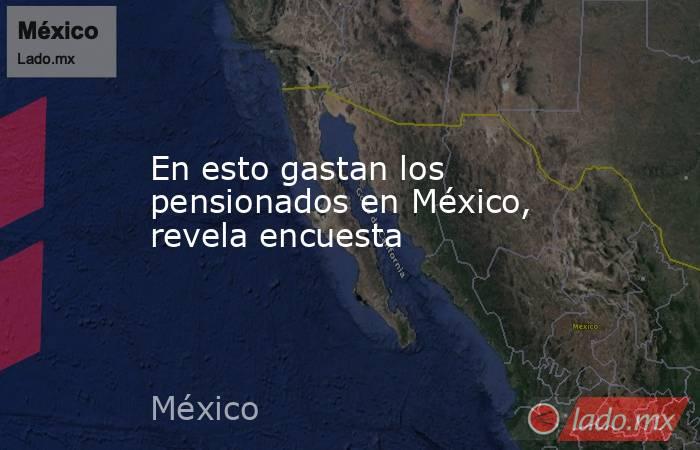En esto gastan los pensionados en México, revela encuesta . Noticias en tiempo real