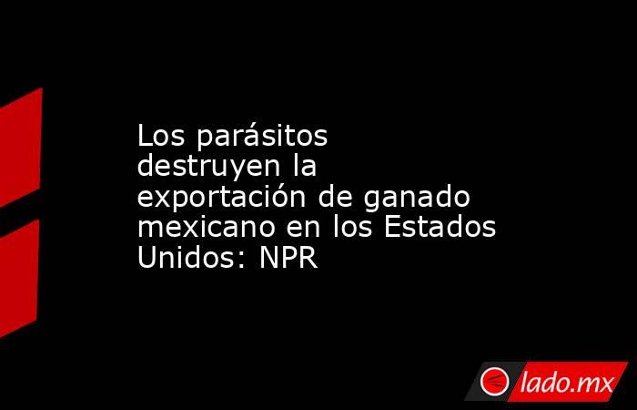 Los parásitos destruyen la exportación de ganado mexicano en los Estados Unidos: NPR. Noticias en tiempo real