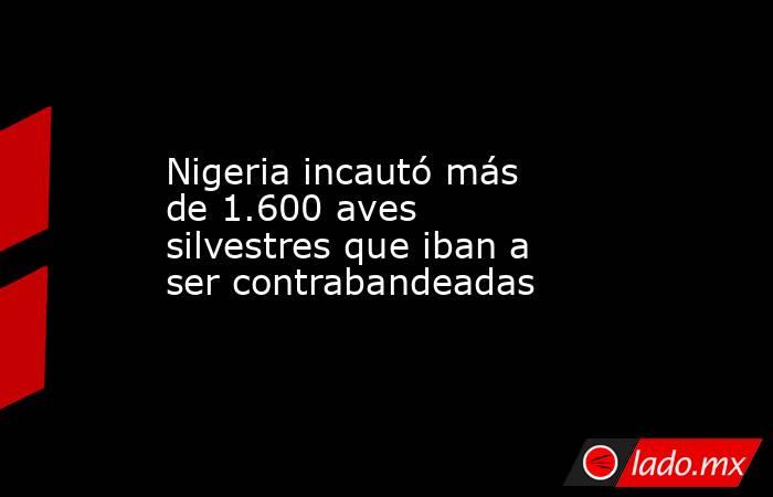 Nigeria incautó más de 1.600 aves silvestres que iban a ser contrabandeadas. Noticias en tiempo real