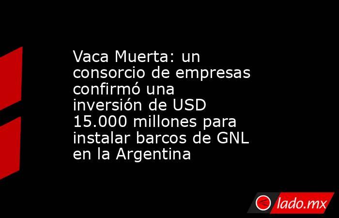 Vaca Muerta: un consorcio de empresas confirmó una inversión de USD 15.000 millones para instalar barcos de GNL en la Argentina. Noticias en tiempo real