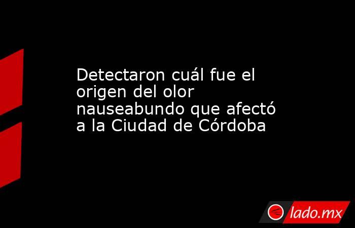 Detectaron cuál fue el origen del olor nauseabundo que afectó a la Ciudad de Córdoba. Noticias en tiempo real
