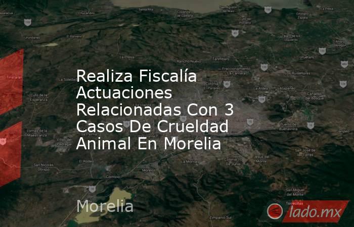 Realiza Fiscalía Actuaciones Relacionadas Con 3 Casos De Crueldad Animal En Morelia. Noticias en tiempo real