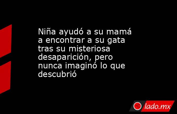 Niña ayudó a su mamá a encontrar a su gata tras su misteriosa desaparición, pero nunca imaginó lo que descubrió . Noticias en tiempo real