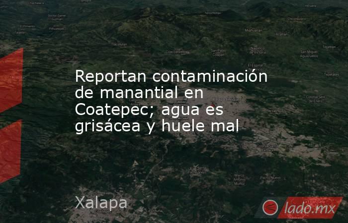 Reportan contaminación de manantial en Coatepec; agua es grisácea y huele mal. Noticias en tiempo real