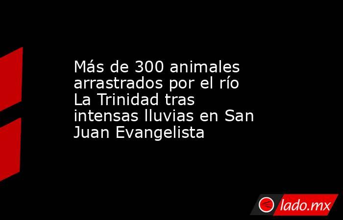 Más de 300 animales arrastrados por el río La Trinidad tras intensas lluvias en San Juan Evangelista. Noticias en tiempo real