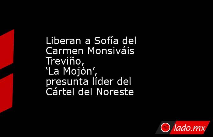 Liberan a Sofía del Carmen Monsiváis Treviño, ‘La Mojón’, presunta líder del Cártel del Noreste. Noticias en tiempo real