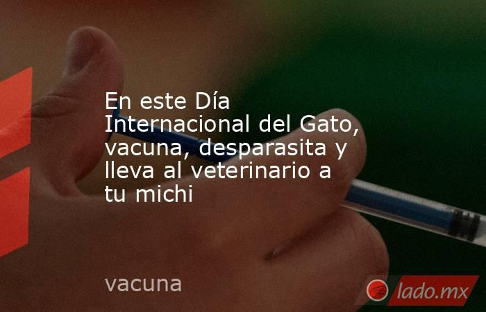 En este Día Internacional del Gato, vacuna, desparasita y lleva al veterinario a tu michi. Noticias en tiempo real
