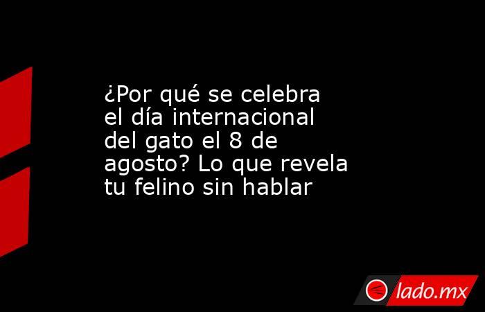 ¿Por qué se celebra el día internacional del gato el 8 de agosto? Lo que revela tu felino sin hablar. Noticias en tiempo real