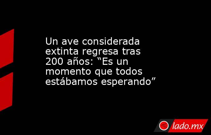 Un ave considerada extinta regresa tras 200 años: “Es un momento que todos estábamos esperando”. Noticias en tiempo real