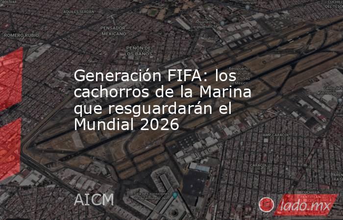 Generación FIFA: los cachorros de la Marina que resguardarán el Mundial 2026. Noticias en tiempo real