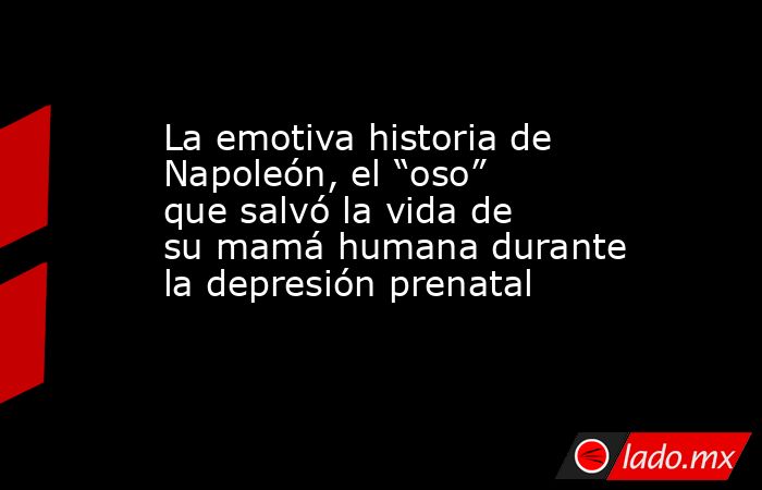 La emotiva historia de Napoleón, el “oso” que salvó la vida de su mamá humana durante la depresión prenatal. Noticias en tiempo real
