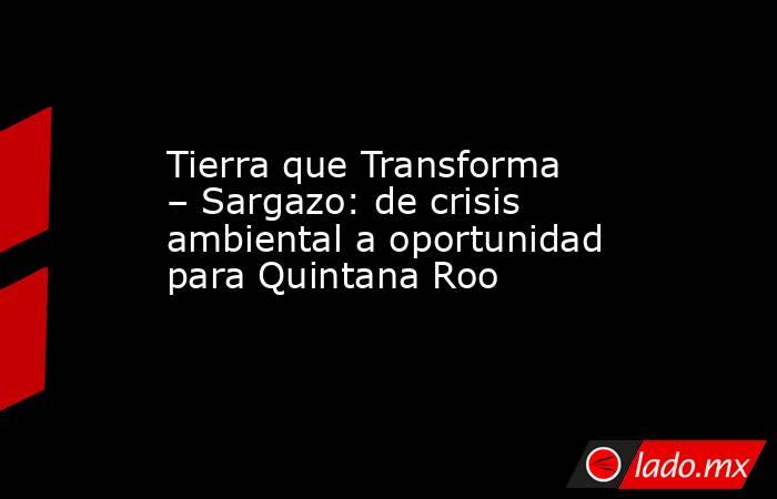 Tierra que Transforma – Sargazo: de crisis ambiental a oportunidad para Quintana Roo. Noticias en tiempo real