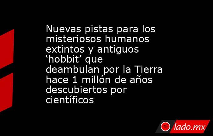 Nuevas pistas para los misteriosos humanos extintos y antiguos ‘hobbit’ que deambulan por la Tierra hace 1 millón de años descubiertos por científicos. Noticias en tiempo real