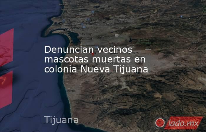 Denuncian vecinos mascotas muertas en colonia Nueva Tijuana. Noticias en tiempo real