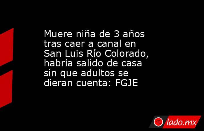 Muere niña de 3 años tras caer a canal en San Luis Río Colorado, habría salido de casa sin que adultos se dieran cuenta: FGJE. Noticias en tiempo real