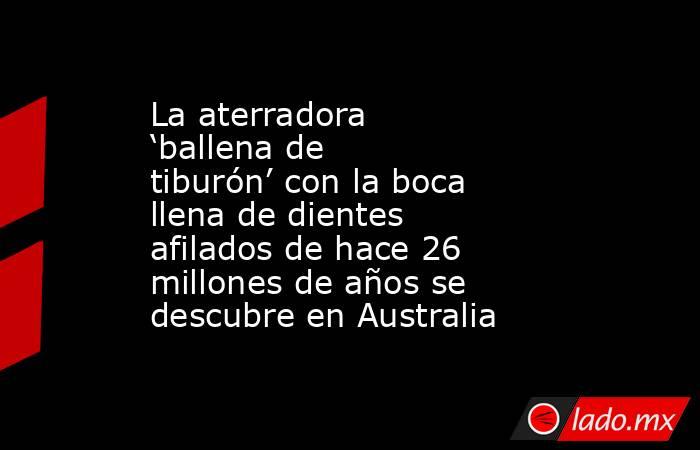 La aterradora ‘ballena de tiburón’ con la boca llena de dientes afilados de hace 26 millones de años se descubre en Australia. Noticias en tiempo real