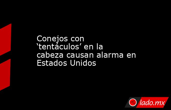 Conejos con ‘tentáculos’ en la cabeza causan alarma en Estados Unidos. Noticias en tiempo real