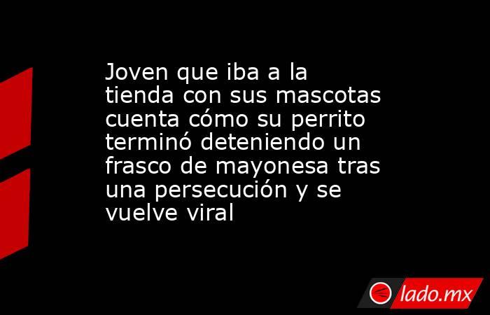 Joven que iba a la tienda con sus mascotas cuenta cómo su perrito terminó deteniendo un frasco de mayonesa tras una persecución y se vuelve viral. Noticias en tiempo real