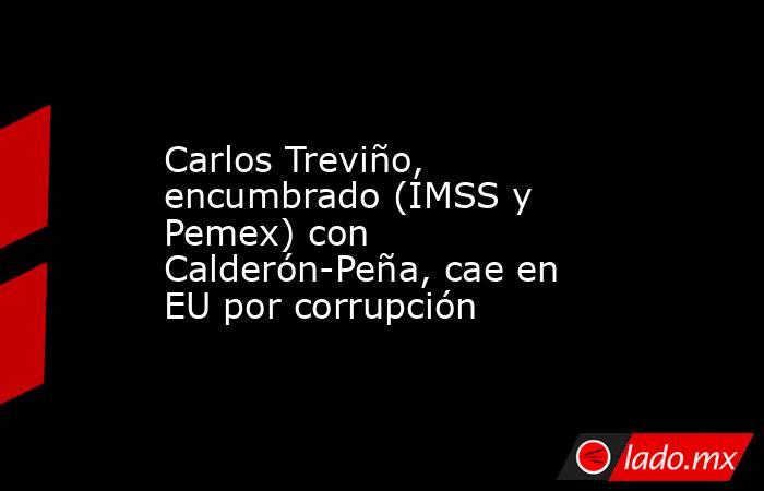Carlos Treviño, encumbrado (IMSS y Pemex) con Calderón-Peña, cae en EU por corrupción. Noticias en tiempo real