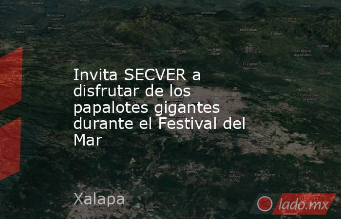 Invita SECVER a disfrutar de los papalotes gigantes durante el Festival del Mar. Noticias en tiempo real
