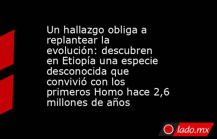 Un hallazgo obliga a replantear la evolución: descubren en Etiopía una especie desconocida que convivió con los primeros Homo hace 2,6 millones de años. Noticias en tiempo real