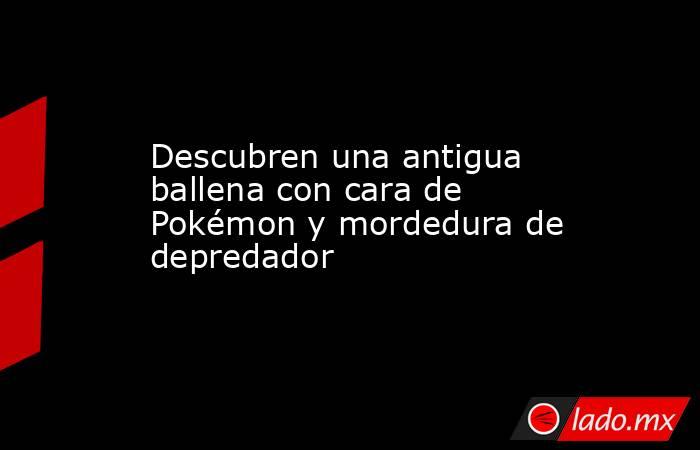 Descubren una antigua ballena con cara de Pokémon y mordedura de depredador. Noticias en tiempo real
