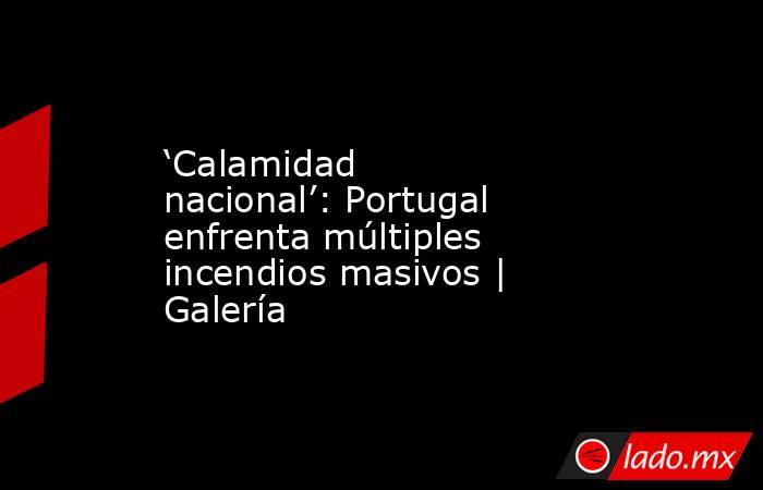 ‘Calamidad nacional’: Portugal enfrenta múltiples incendios masivos | Galería. Noticias en tiempo real