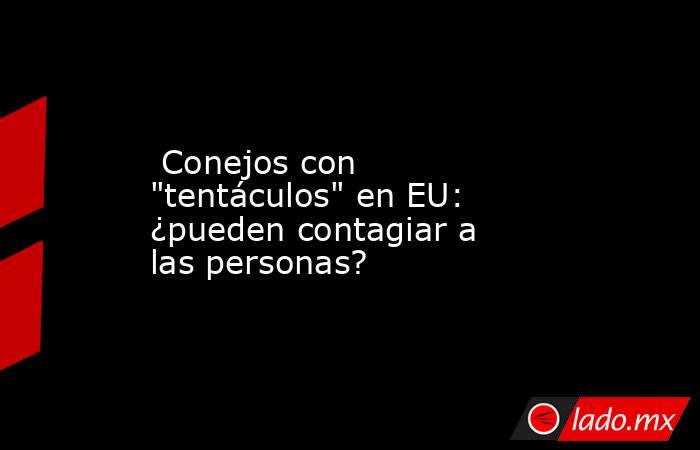  Conejos con 