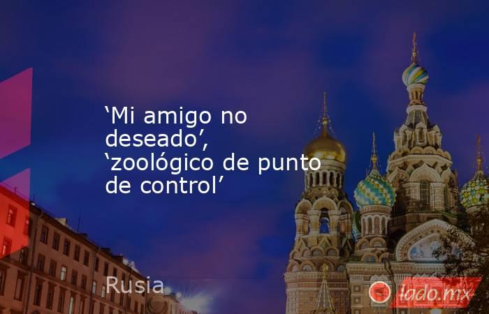 ‘Mi amigo no deseado’, ‘zoológico de punto de control’. Noticias en tiempo real
