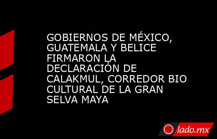 GOBIERNOS DE MÉXICO, GUATEMALA Y BELICE FIRMARON LA DECLARACIÓN DE CALAKMUL, CORREDOR BIO CULTURAL DE LA GRAN SELVA MAYA. Noticias en tiempo real
