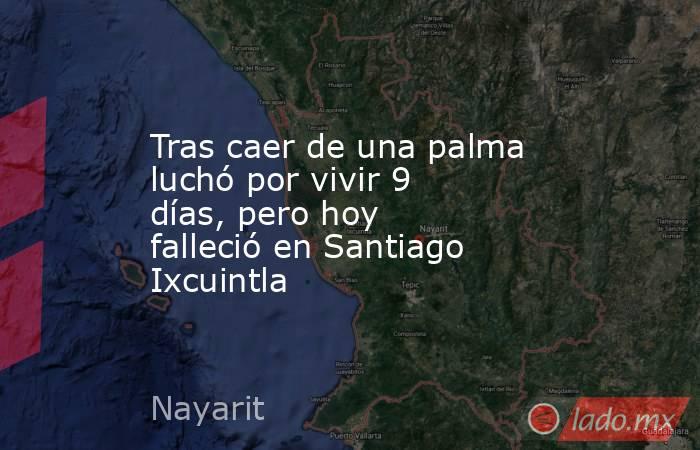Tras caer de una palma luchó por vivir 9 días, pero hoy falleció en Santiago Ixcuintla. Noticias en tiempo real