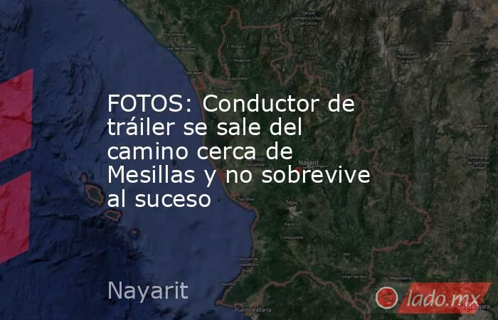 FOTOS: Conductor de tráiler se sale del camino cerca de Mesillas y no sobrevive al suceso. Noticias en tiempo real
