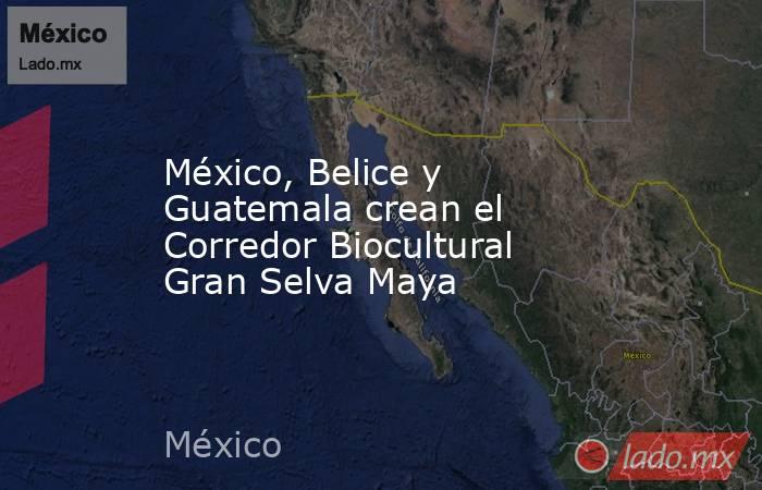 México, Belice y Guatemala crean el Corredor Biocultural Gran Selva Maya. Noticias en tiempo real