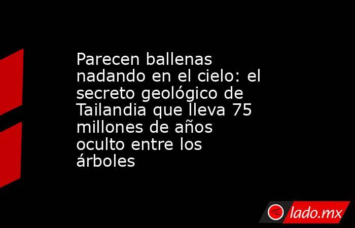 Parecen ballenas nadando en el cielo: el secreto geológico de Tailandia que lleva 75 millones de años oculto entre los árboles. Noticias en tiempo real