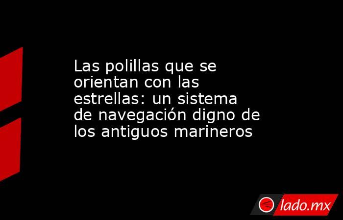 Las polillas que se orientan con las estrellas: un sistema de navegación digno de los antiguos marineros. Noticias en tiempo real