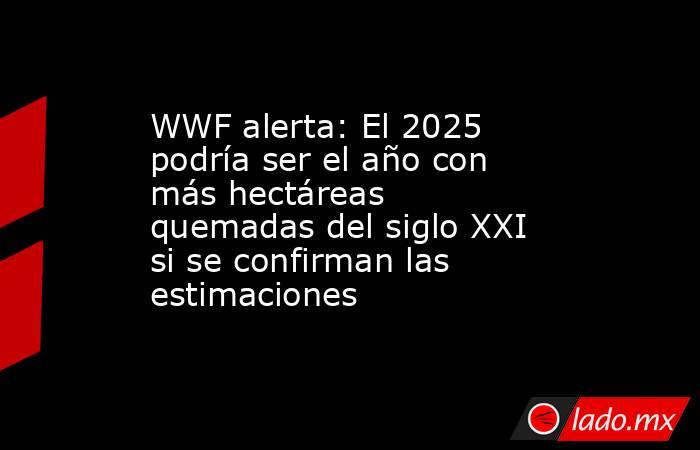 WWF alerta: El 2025 podría ser el año con más hectáreas quemadas del siglo XXI si se confirman las estimaciones. Noticias en tiempo real