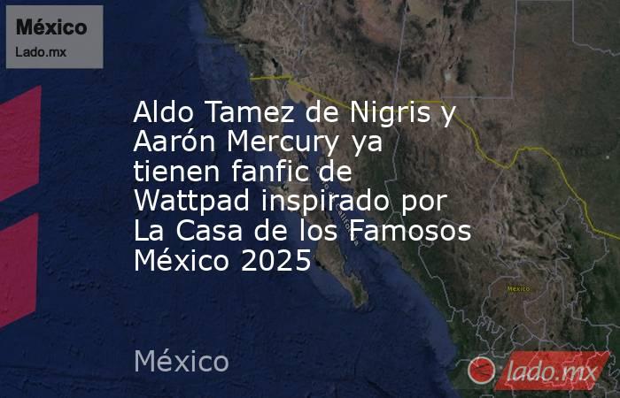 Aldo Tamez de Nigris y Aarón Mercury ya tienen fanfic de Wattpad inspirado por La Casa de los Famosos México 2025. Noticias en tiempo real