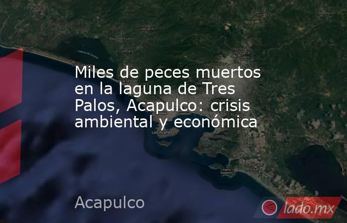Miles de peces muertos en la laguna de Tres Palos, Acapulco: crisis ambiental y económica. Noticias en tiempo real