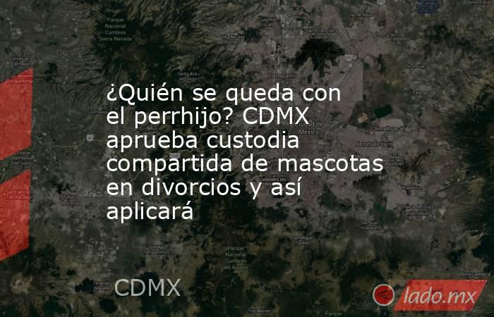 ¿Quién se queda con el perrhijo? CDMX aprueba custodia compartida de mascotas en divorcios y así aplicará. Noticias en tiempo real