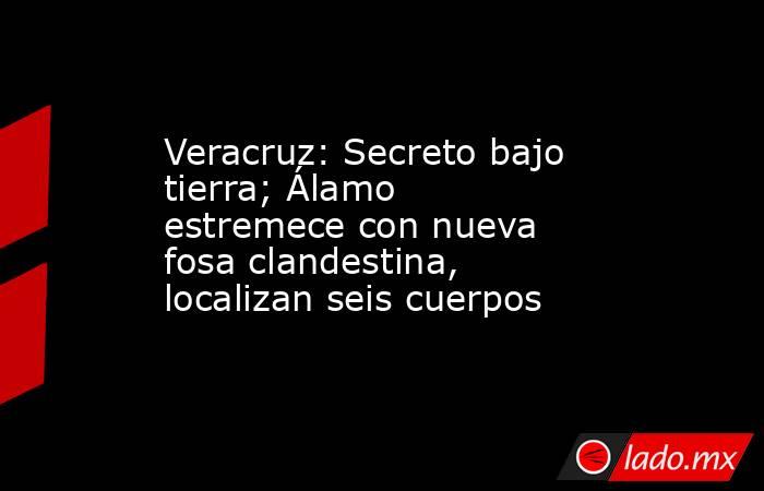 Veracruz: Secreto bajo tierra; Álamo estremece con nueva fosa clandestina, localizan seis cuerpos. Noticias en tiempo real