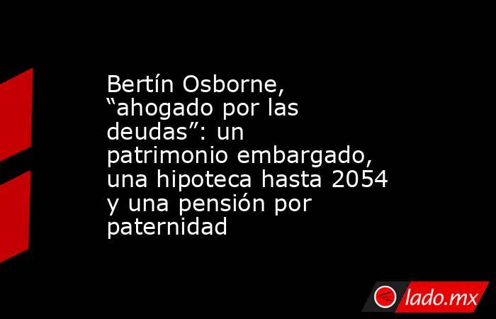 Bertín Osborne, “ahogado por las deudas”: un patrimonio embargado, una hipoteca hasta 2054 y una pensión por paternidad . Noticias en tiempo real