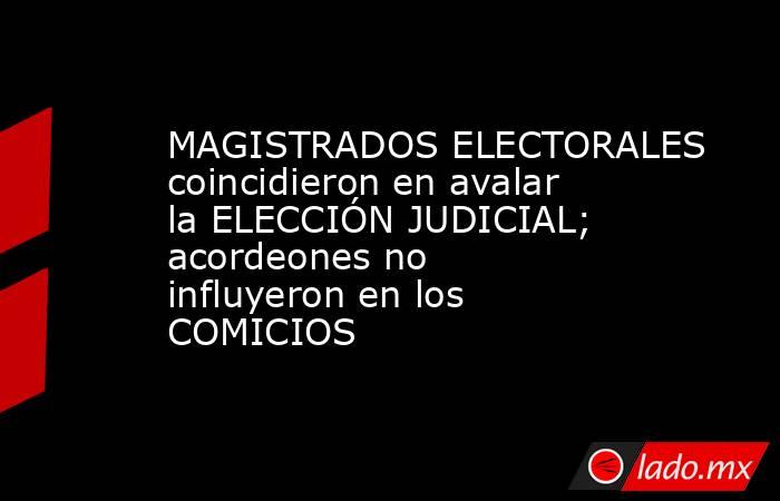 MAGISTRADOS ELECTORALES coincidieron en avalar la ELECCIÓN JUDICIAL; acordeones no influyeron en los COMICIOS. Noticias en tiempo real