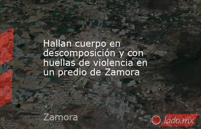Hallan cuerpo en descomposición y con huellas de violencia en un predio de Zamora. Noticias en tiempo real