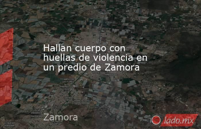 Hallan cuerpo con huellas de violencia en un predio de Zamora. Noticias en tiempo real