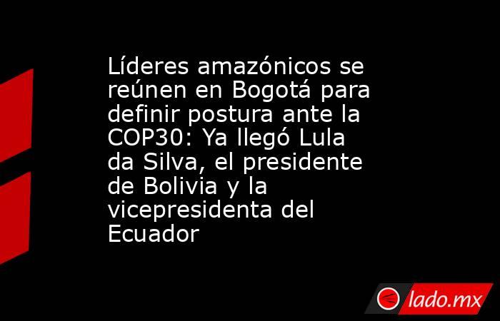 Líderes amazónicos se reúnen en Bogotá para definir postura ante la COP30: Ya llegó Lula da Silva, el presidente de Bolivia y la vicepresidenta del Ecuador . Noticias en tiempo real