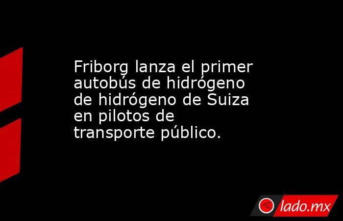Friborg lanza el primer autobús de hidrógeno de hidrógeno de Suiza en pilotos de transporte público.. Noticias en tiempo real