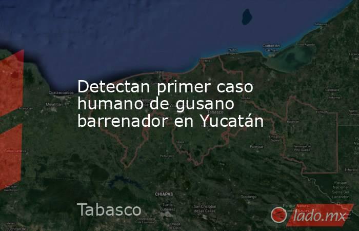 Detectan primer caso humano de gusano barrenador en Yucatán. Noticias en tiempo real