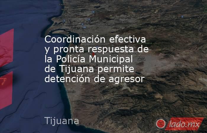 Coordinación efectiva y pronta respuesta de la Policía Municipal de Tijuana permite detención de agresor. Noticias en tiempo real