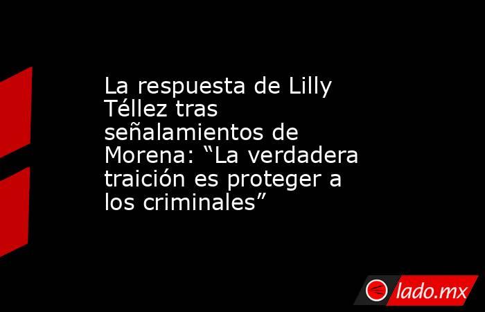 La respuesta de Lilly Téllez tras señalamientos de Morena: “La verdadera traición es proteger a los criminales”  . Noticias en tiempo real